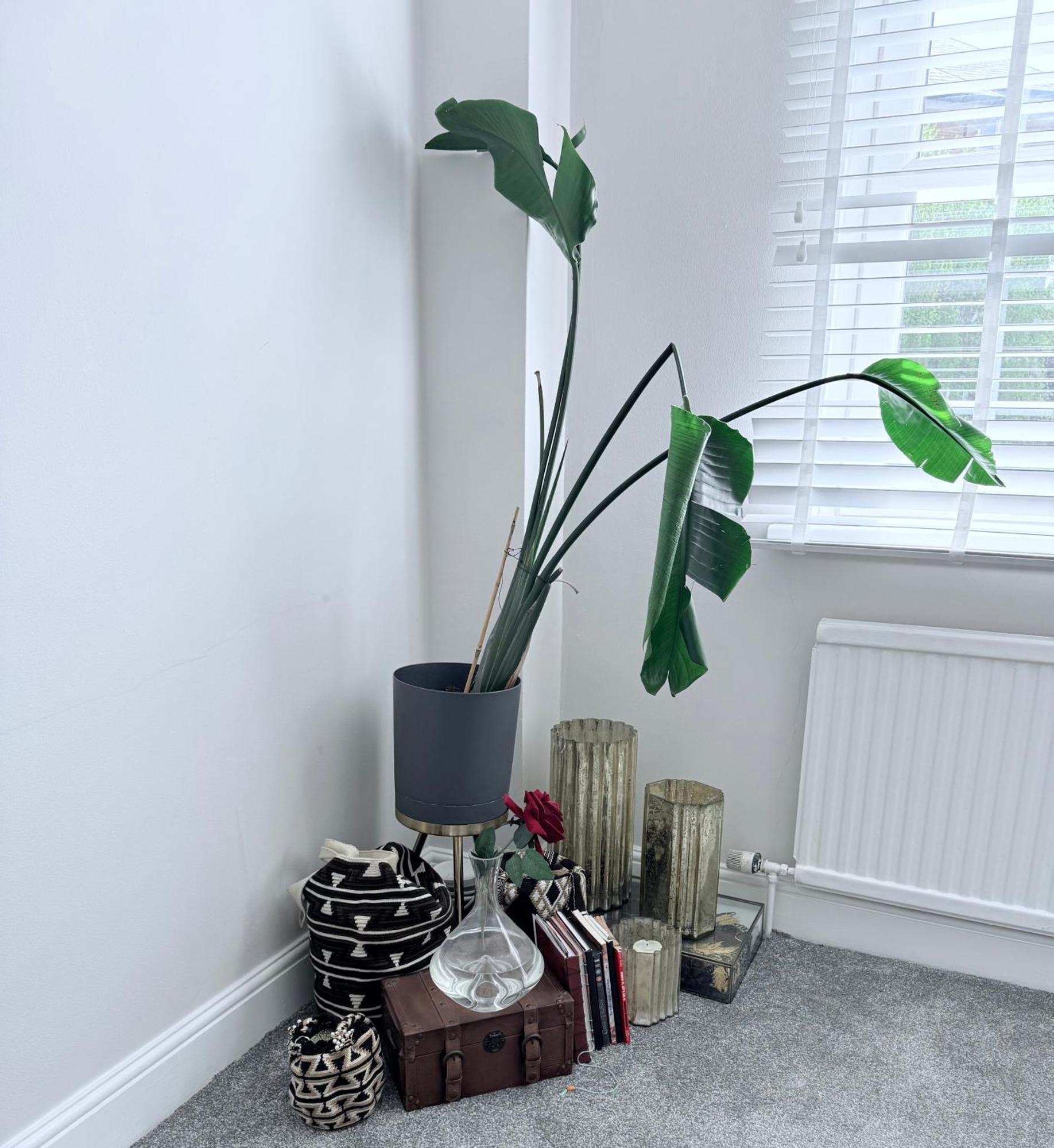 Bright And Modern Flat Near Portobello Road And The Canal Лондон Экстерьер фото